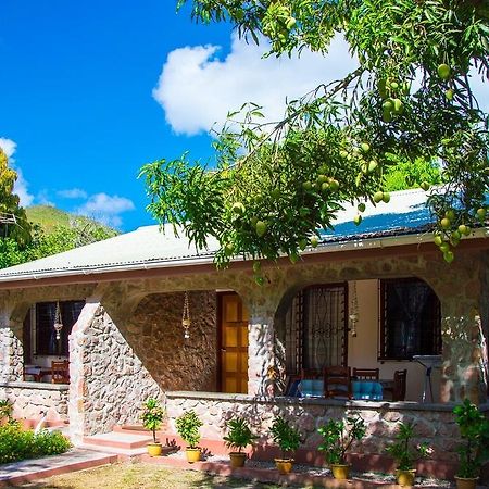 Seashell Self Catering Villa Гранд Анс Стая снимка